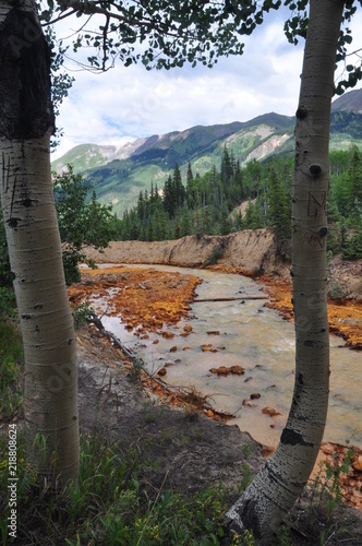 Pine Trees Frame a Creek that has been Polluted by Mining Tailings photo