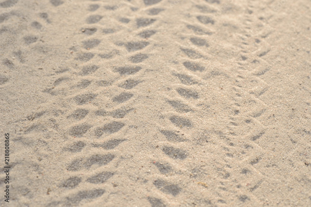 bike wheels tire imprint in sand bike wheels tire imprint in sand