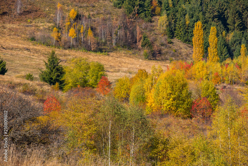 Colorful autumn landscape