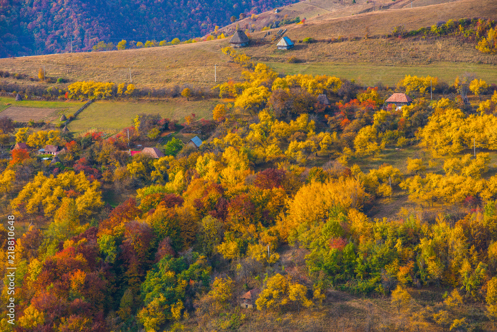Autumn scene in the mountains
