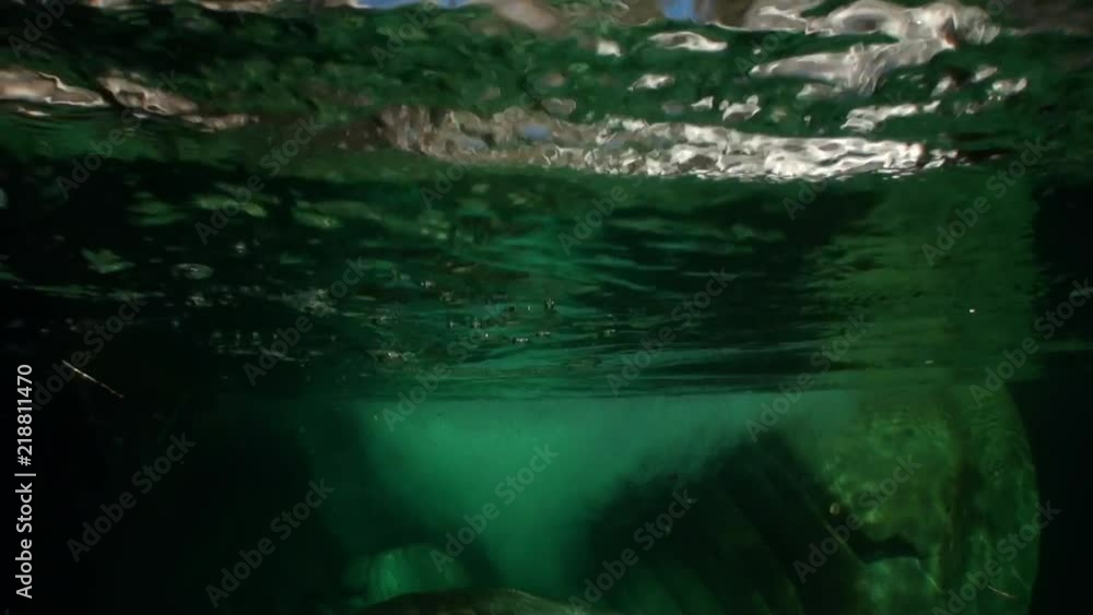 Trees visible from under the transparent water of mountain river Verzasca. Picturesque nature and huge smooth stones in canton of Ticino are favorite place for underwater photographers.