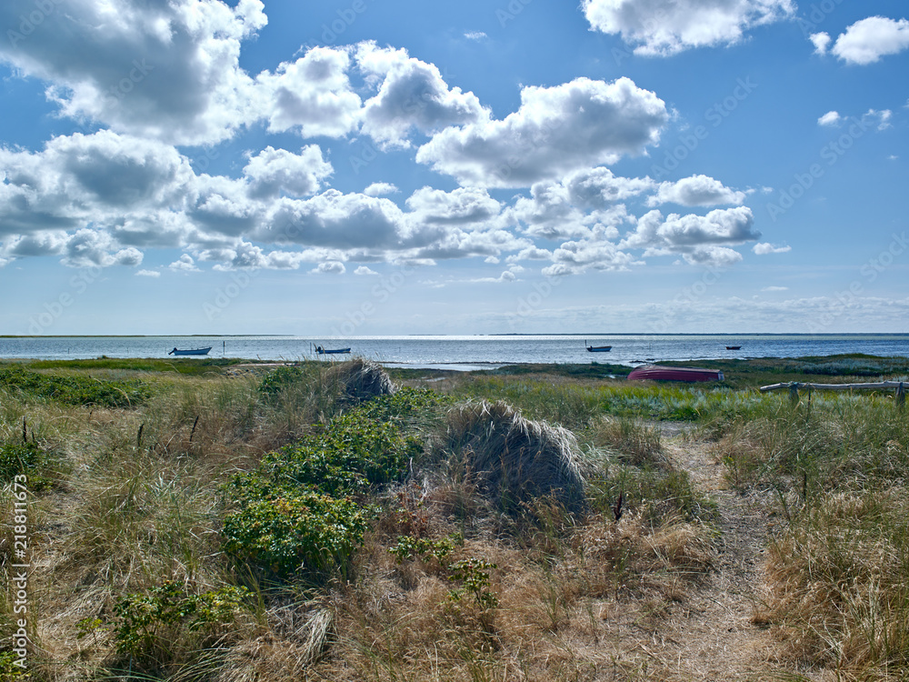 Laesoe / Denmark: View from the dune at Bloeden Hale over the coastal salt marsh and the wide bay called Boved Bugt