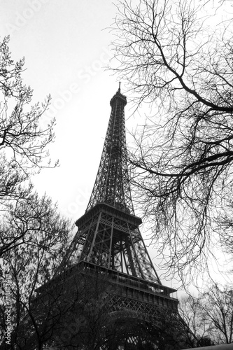 Fototapeta Naklejka Na Ścianę i Meble -  Black and White Eiffel Tower in Paris 