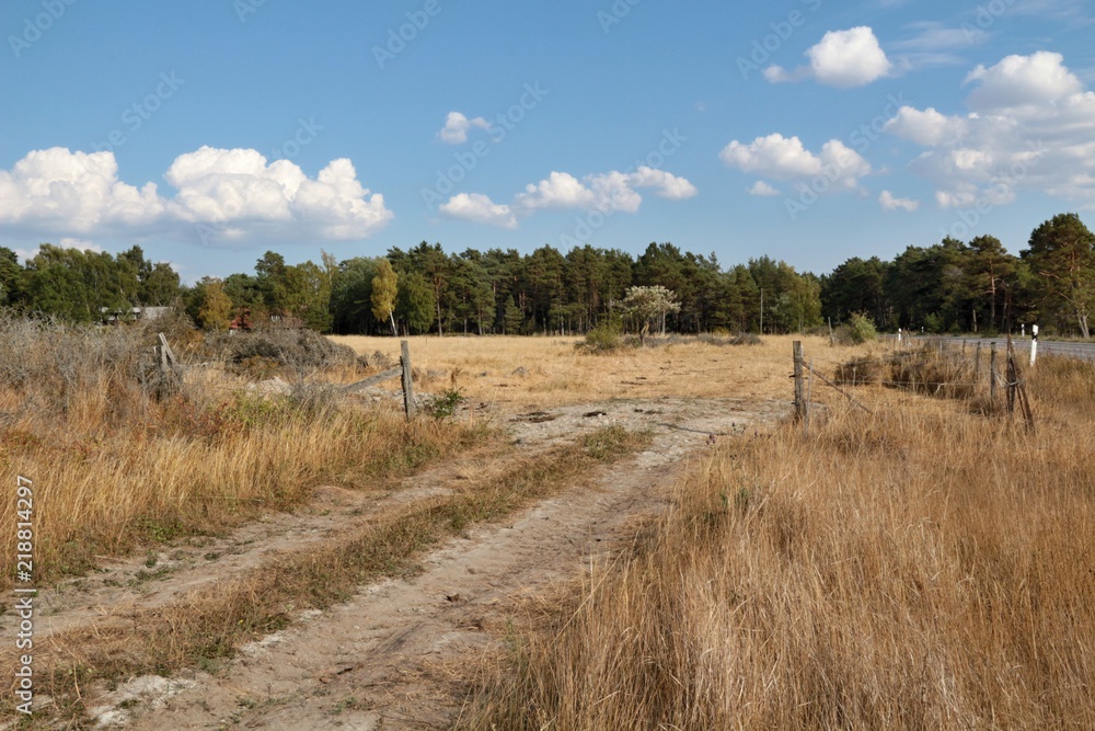 Fototapeta premium Campagna di Cotland