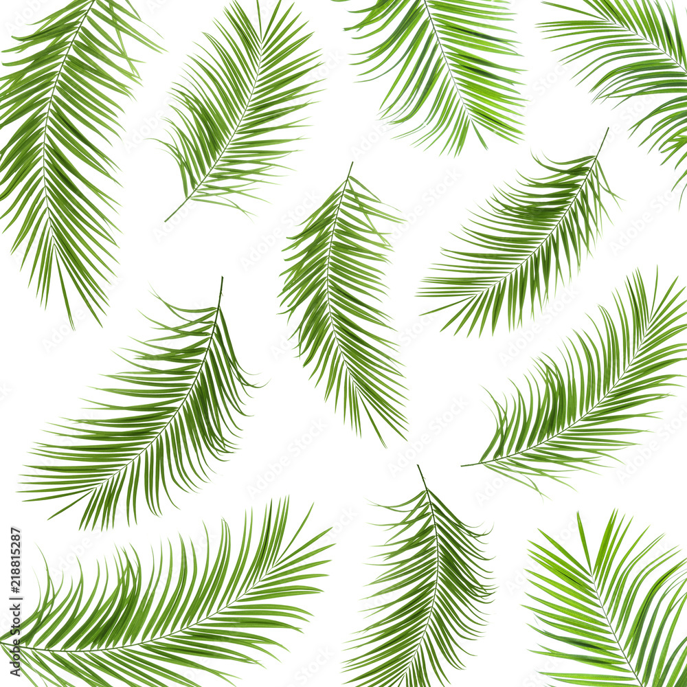 Set with fresh green palm leaves on white background Set with fresh green palm leaves on white background