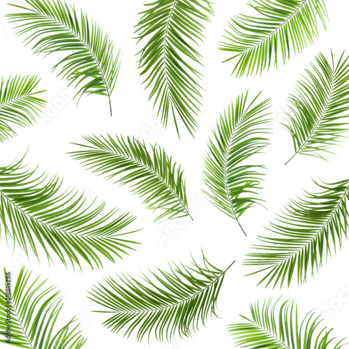 Set with fresh green palm leaves on white background
