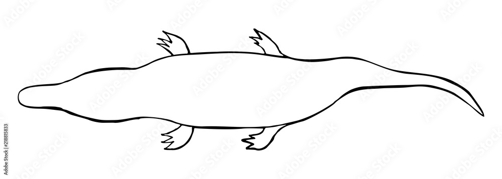 Obraz premium Crocodile. Vector black illustrations.