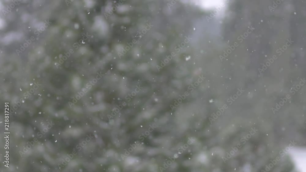 Falling snow in slow motion 01 Falling snow in slow motion 01