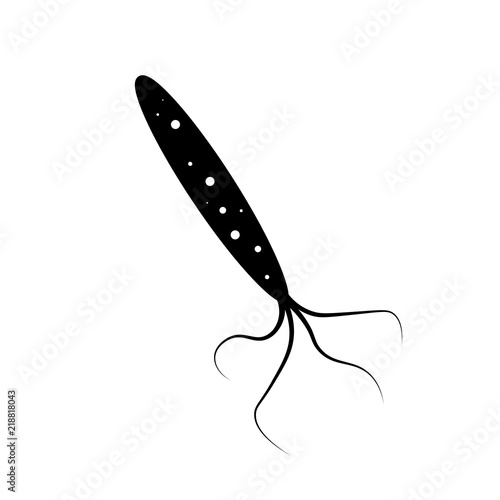 фотографія Helicobacter Pylori icon