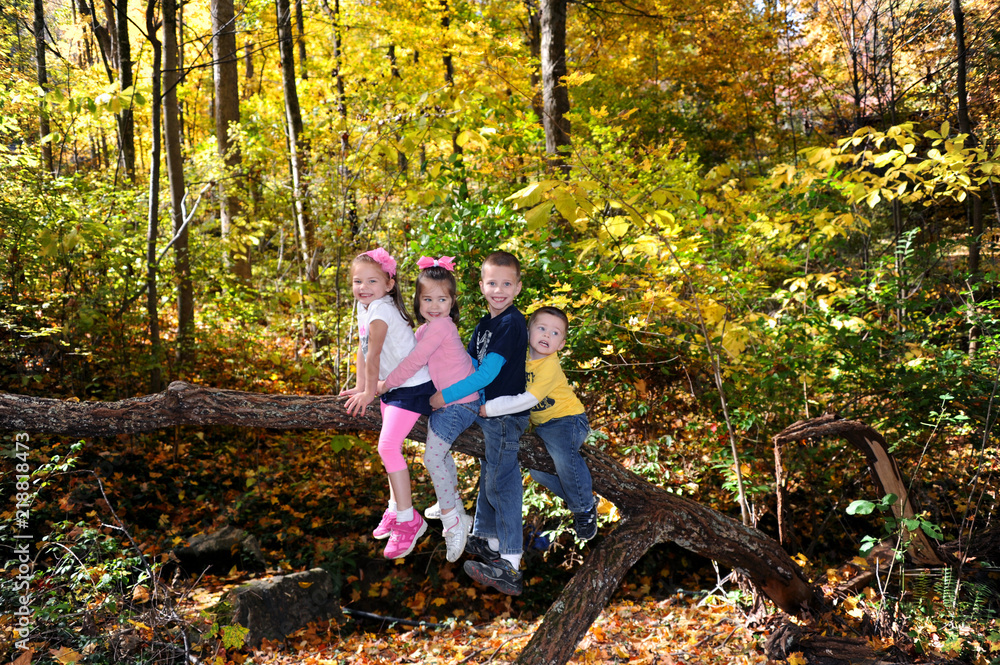 Fototapeta premium All in a Row