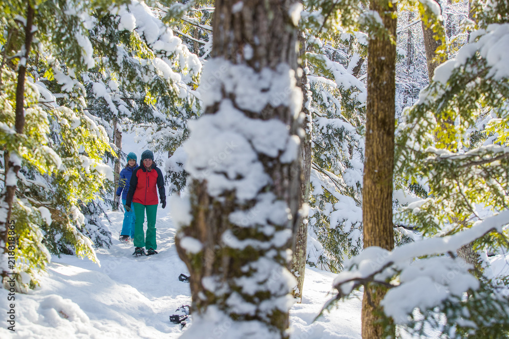 Pair of female friends snowshoeing in forest.