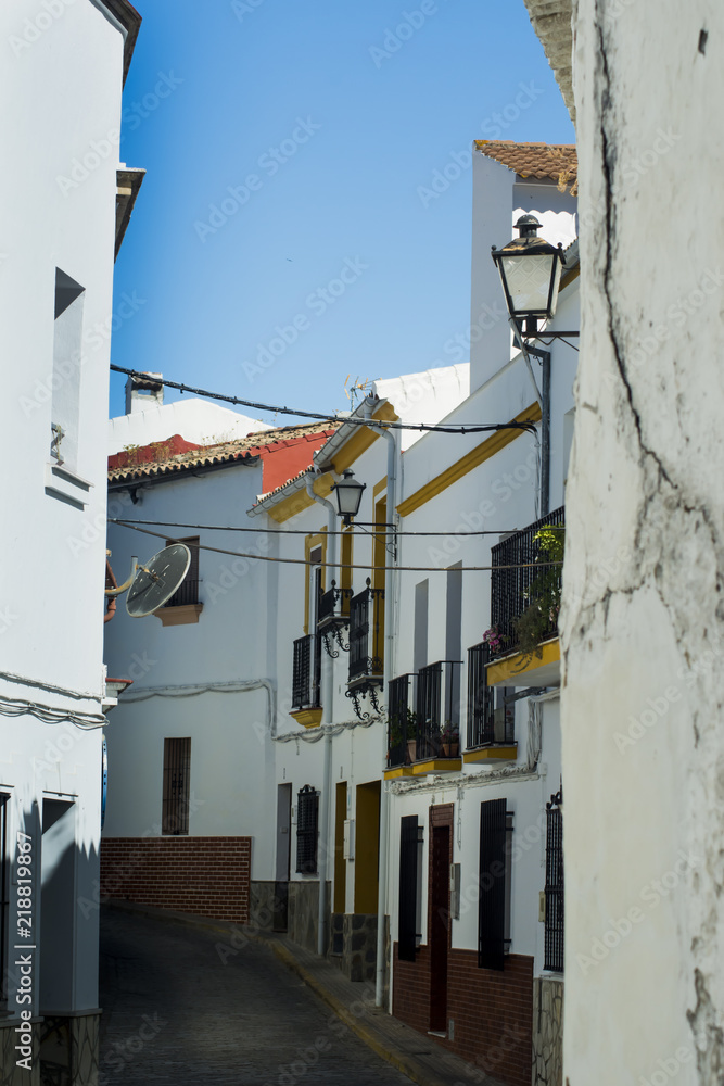 Detail of typical village of Andalucia in Spain