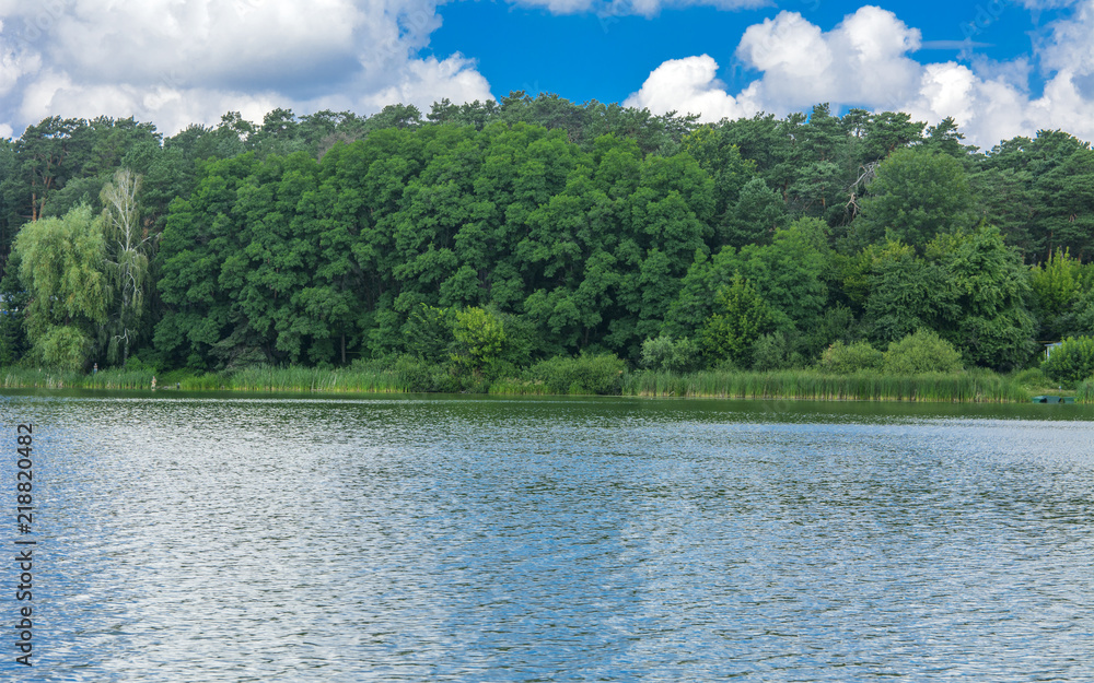 A beautiful image of landscape from the center of the river, surrounded by trees and reeds on the shore and distant horizon against the blue sky in clouds. Reflection, water, tourist destination A beautiful image of landscape from the center of the river, surrounded by trees and reeds on the shore and distant horizon against the blue sky in clouds. Reflection, water, tourist destination