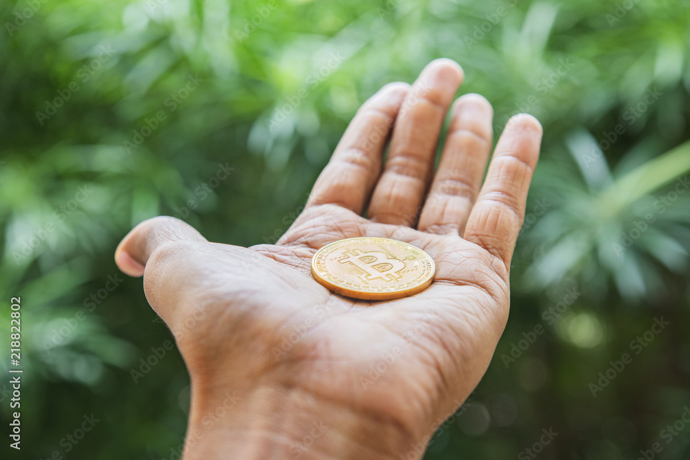 Bitcoin in a hand against the green background Bitcoin in a hand against the green background