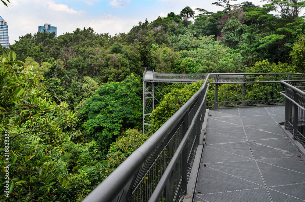 The Southern Ridges trail, Singapore