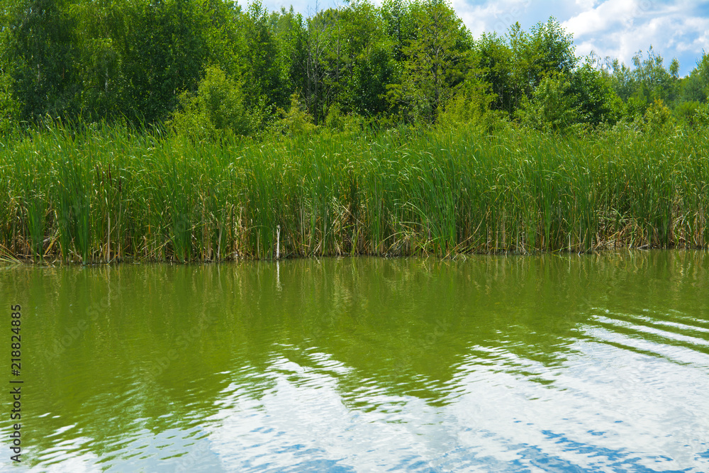 A beautiful image of landscape from the center of the river, surrounded by trees and reeds on the shore and distant horizon against the blue sky in clouds. Reflection, water, tourist destination A beautiful image of landscape from the center of the river, surrounded by trees and reeds on the shore and distant horizon against the blue sky in clouds. Reflection, water, tourist destination