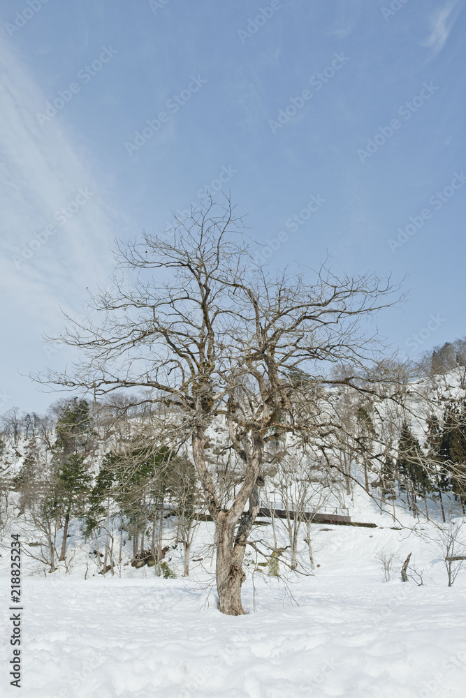 beautiful winter landscape on a sunny day beautiful winter landscape on a sunny day