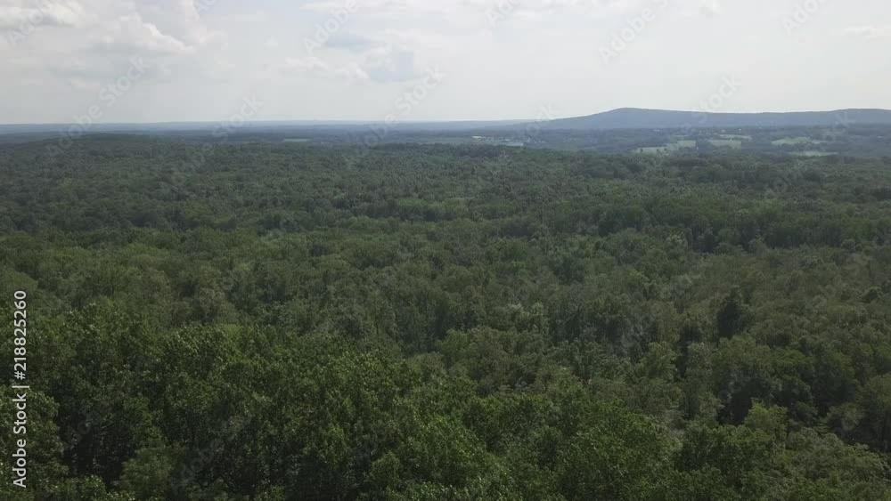 drone over forest in Pennsylvania drone over forest in Pennsylvania