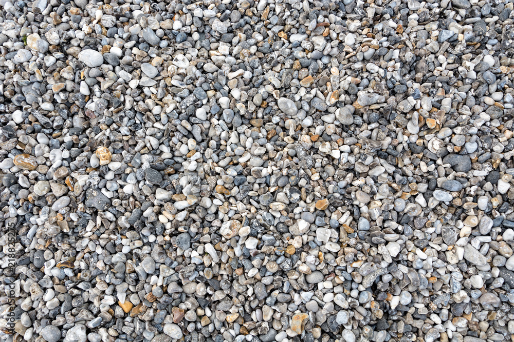 Shingle Shingle