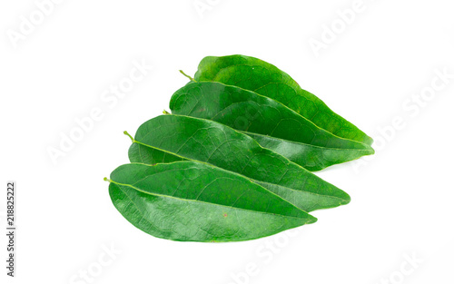 Bai-ya-nang (Thai name) (Tiliacora triandra) isolated on white background