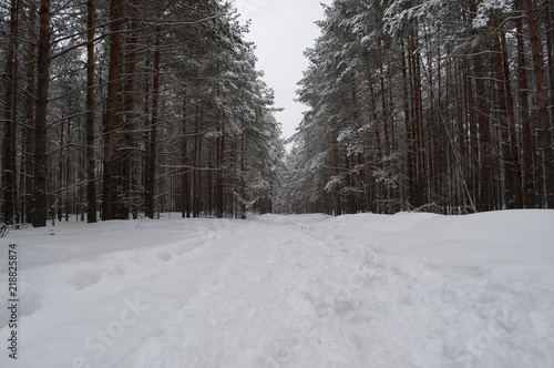 Пейзаж