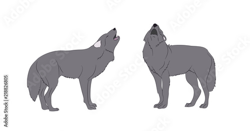 wolf howls, image in color, vector © Aleksandra Nesterova