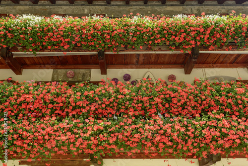 Fototapeta Naklejka Na Ścianę i Meble -  flowers galore on traditional balconies at  Gressoney Saint Jean, Italy, Italy