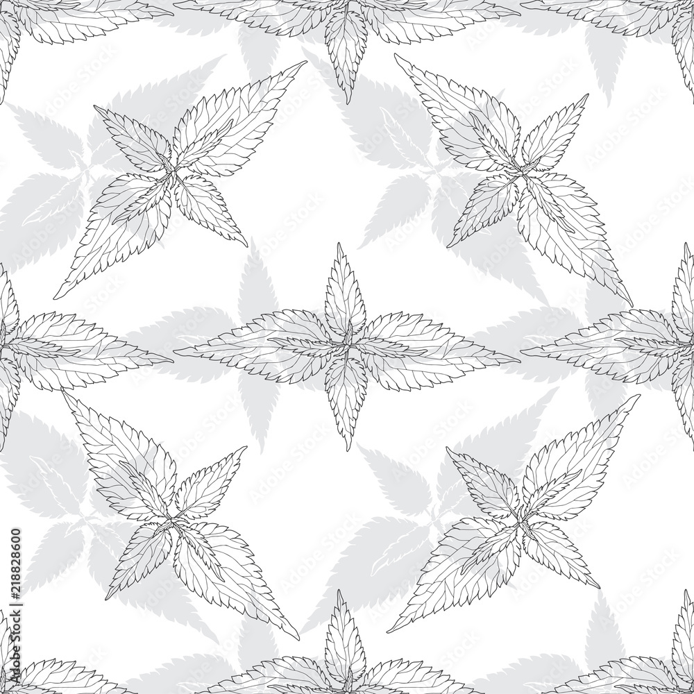 Fototapeta Monochromatyczny kwiecisty wzór z liśćmi pokrzywa na białym tle. Bezszwowe tło.