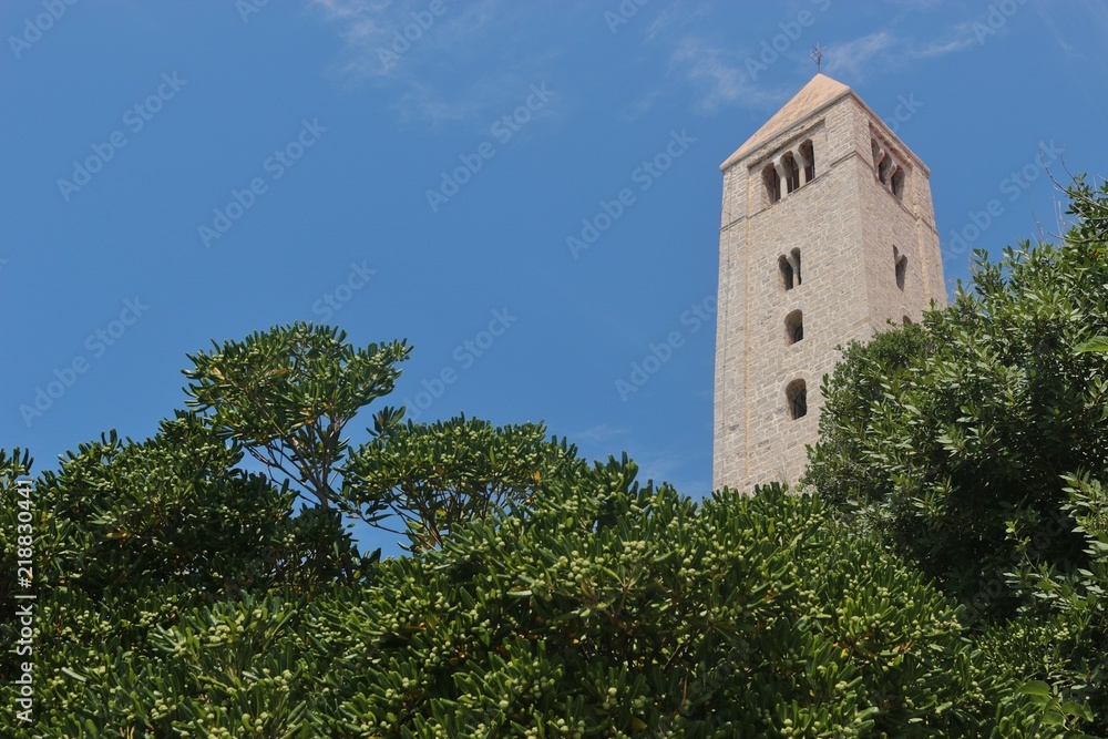 Huge mediterranean shrub and medieval church tower in Rab, Rab Island, Croatia, South-east Europe.