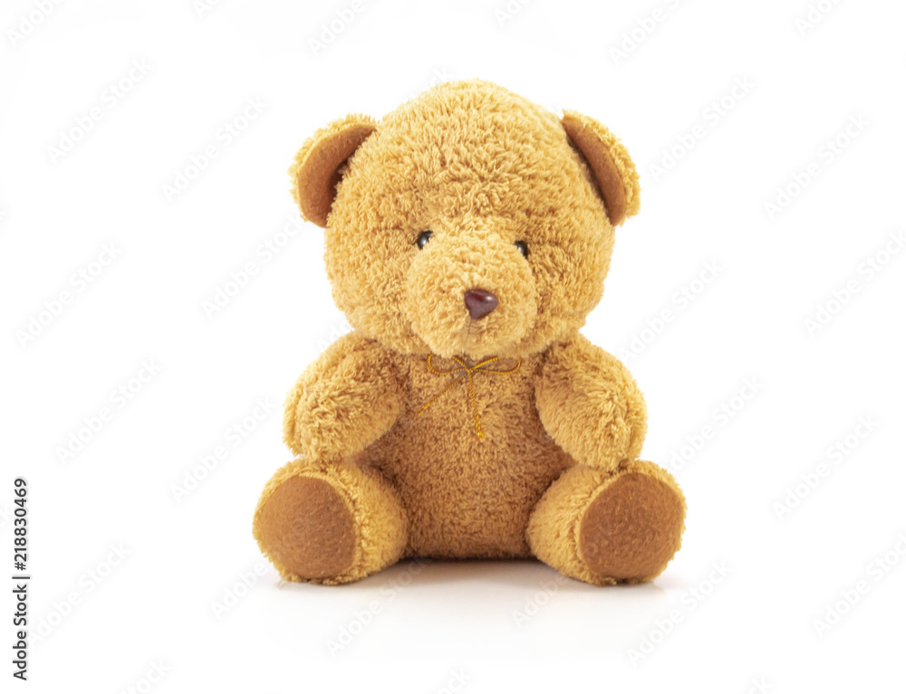 Fototapeta premium Teddy isolated on white background
