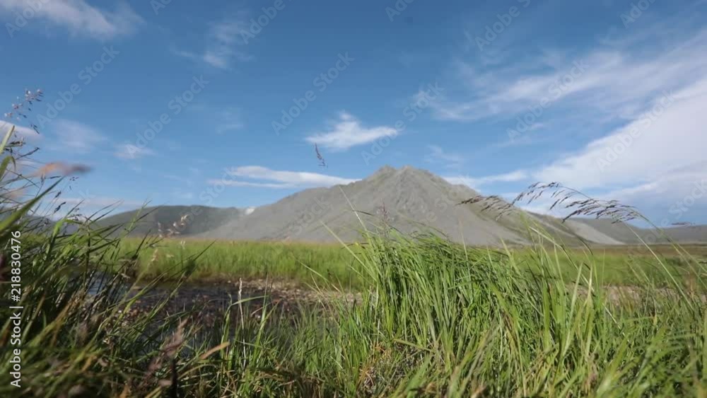 A picturesque mountain stream flows through the valley against the backdrop of the mountains. Around the beautiful green grass. Blue sky A picturesque mountain stream flows through the valley against the backdrop of the mountains. Around the beautiful green grass. Blue sky