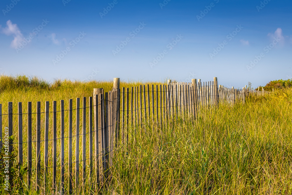Dune Grass and Fence