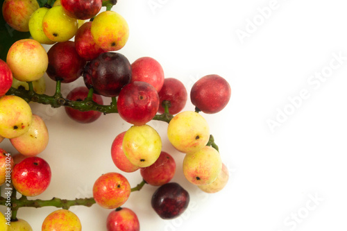 Close up thai blueberry on white background