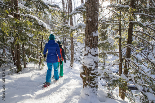 Pair of female friends snowshoeing in forest. photo