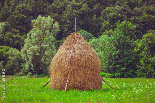 Gold colored haystack near trees photo