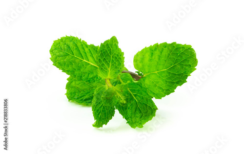 Spaermint fresh isolated on white background photo