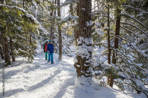 Pair of female friends snowshoeing in forest. © Colin