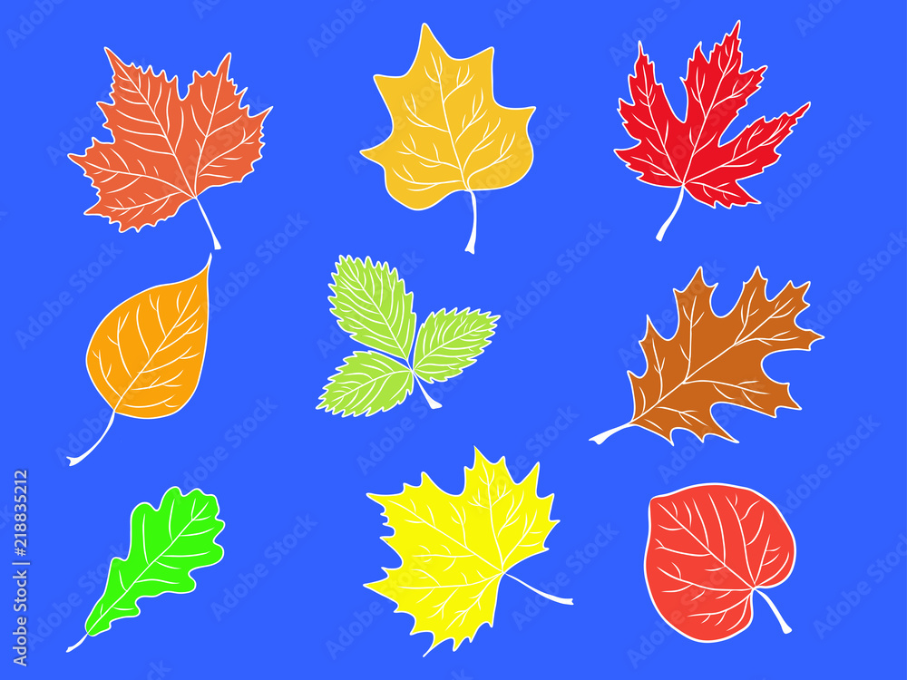 Obraz premium set leaf icon vector isolated