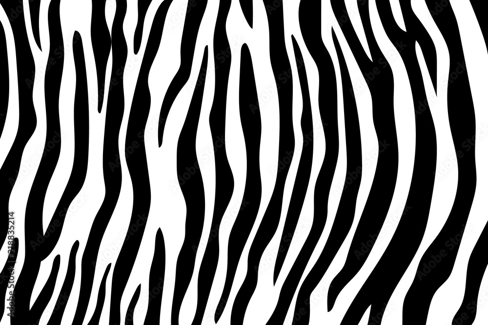 Naklejka wzór Paski Zebry. Druk Zebra, skóra zwierzęca, paski tygrysa,  abstrakcyjny wzór, tło linii, tkanina. Niesamowite ręcznie rysowane  ilustracji wektorowych. Plakat, baner. Czarno-biała grafika, monochrom  #218835214 - Czarno- białe - Naklejki ...