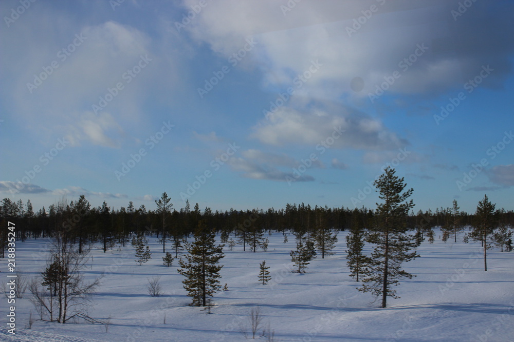 finish national park Pyhä-Luosto in winter, finnland