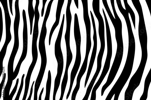 Zebra Stripes Pattern. Zebra print  animal skin  tiger stripes  abstract pattern  line background  fabric. Amazing hand drawn vector illustration. Poster  banner. Black and white artwork  monochrom