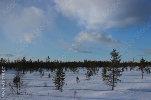 finish national park Pyhä-Luosto in winter, finnland