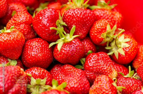 background of only ripe strawberry berries shot close-up