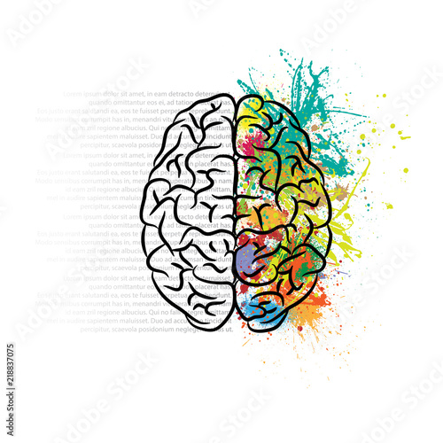 Brain left and right