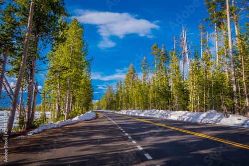 Road from Yellowstone National Park to Grand Teton National Park, Wyoming photo