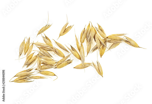 Oat grain on white background, top view.