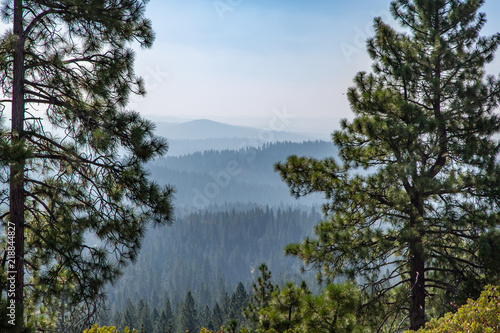 Hazy View Over the Forest from the Rim Trail, Arnold, California