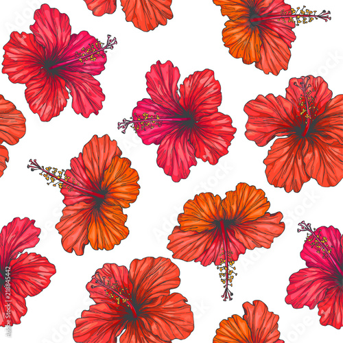 Vector vintage seamless pattern with red tropical flowers isolated on white background. Hibiscus in engraving style. Hand drawn color floral texture.
