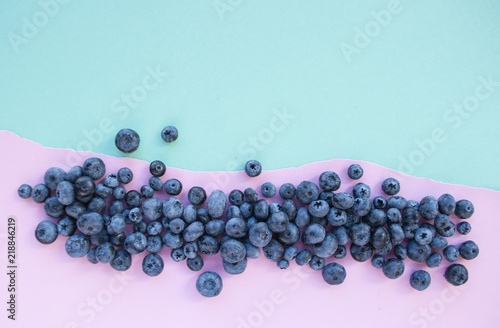 Delicious freshly picked bluberry on blue and piink background with copyspace. Blueberry border design. photo
