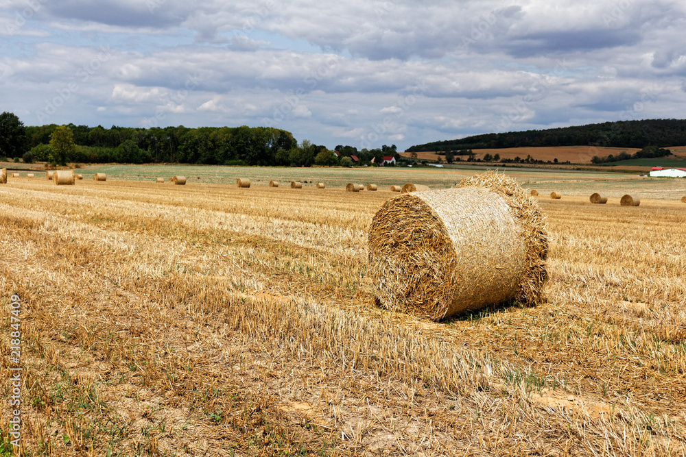 Straw bales on the field - beautiful countryside